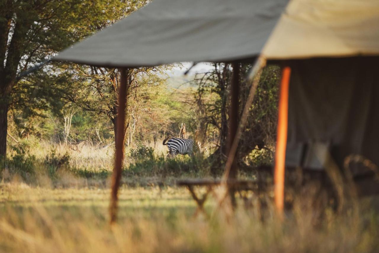 Zawadi Camp Hotel Serengeti Exterior foto