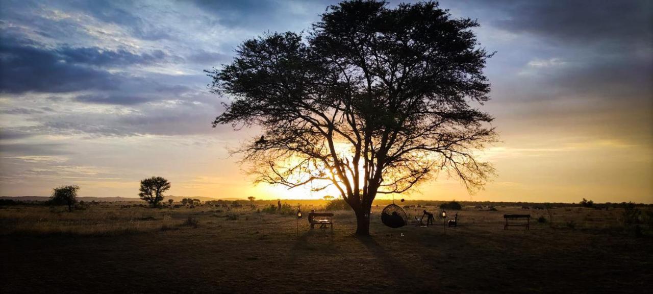 Zawadi Camp Hotel Serengeti Exterior foto