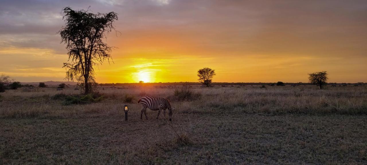 Zawadi Camp Hotel Serengeti Exterior foto