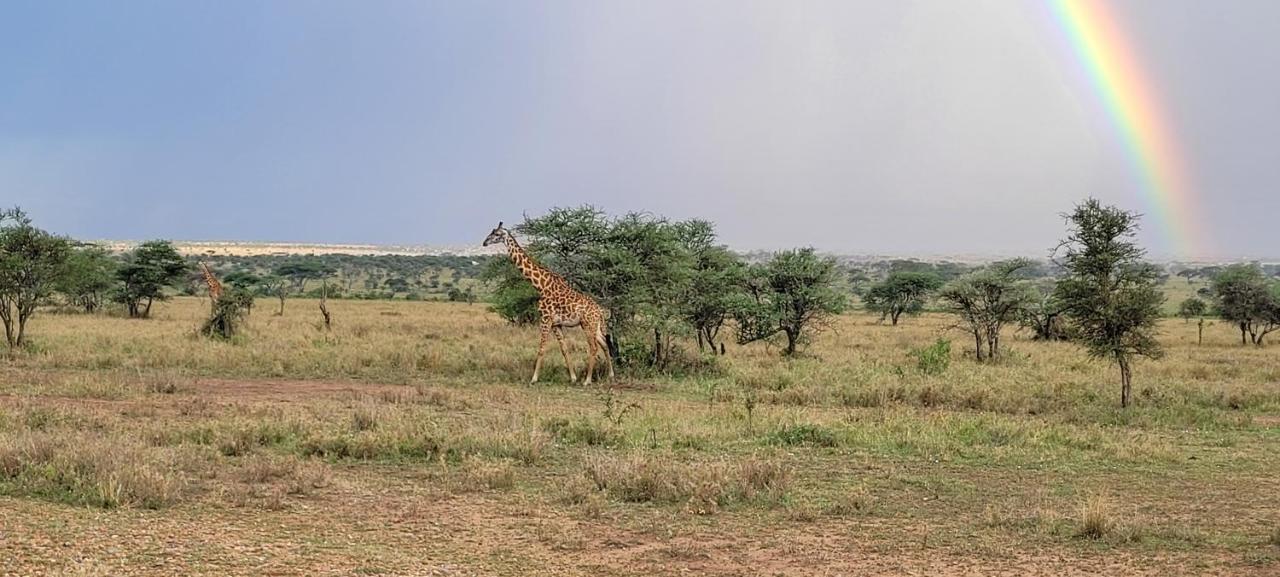 Zawadi Camp Hotel Serengeti Exterior foto