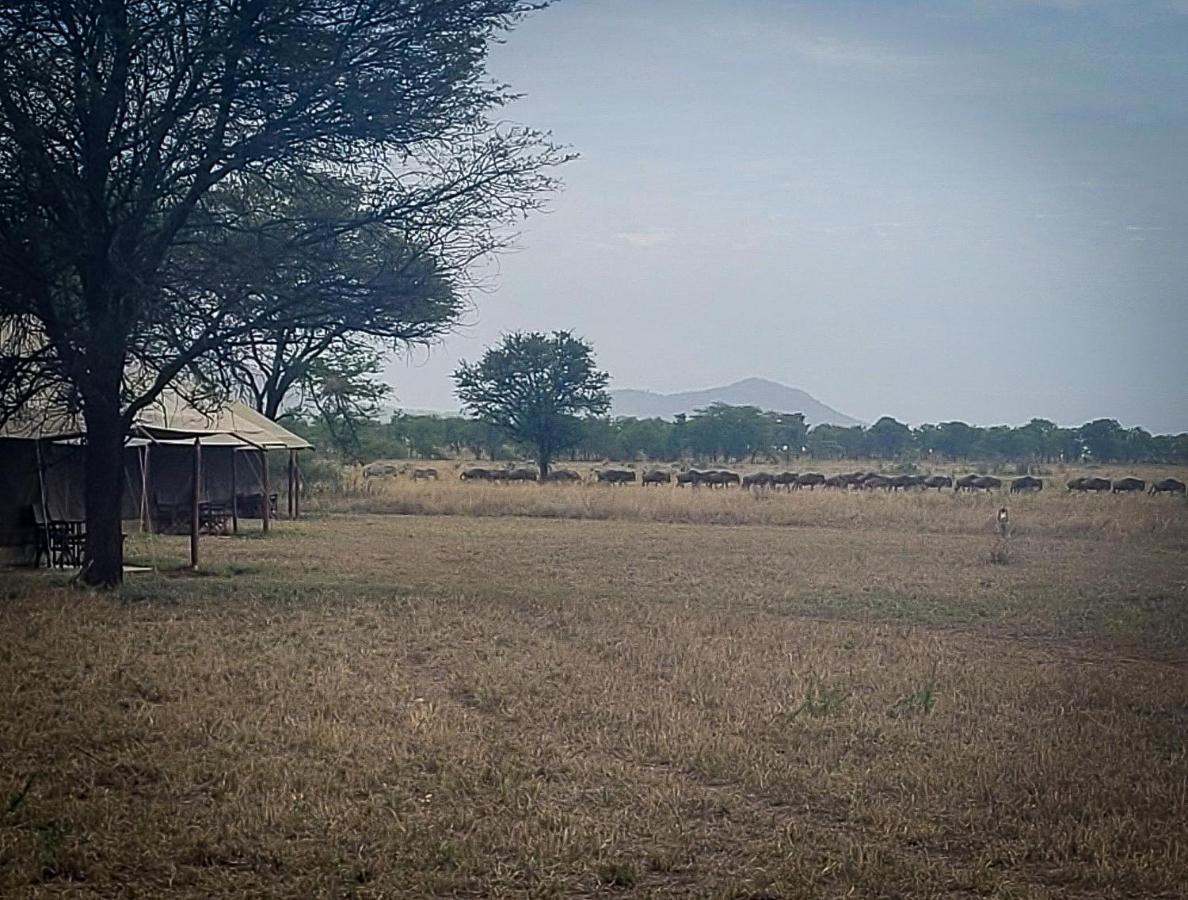 Zawadi Camp Hotel Serengeti Exterior foto