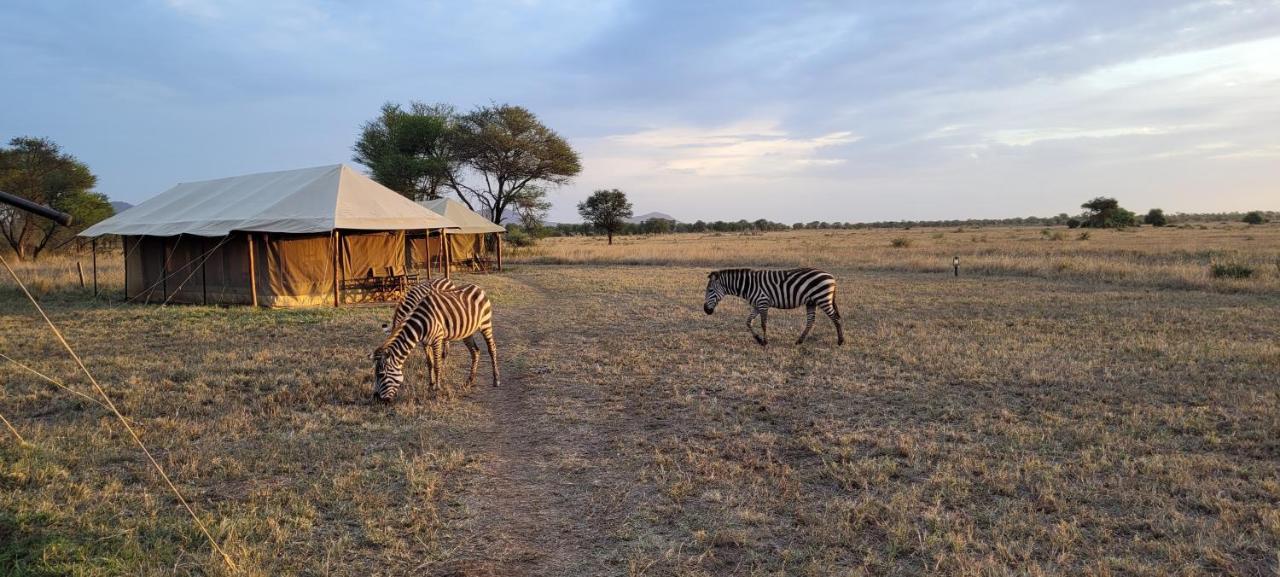 Zawadi Camp Hotel Serengeti Exterior foto