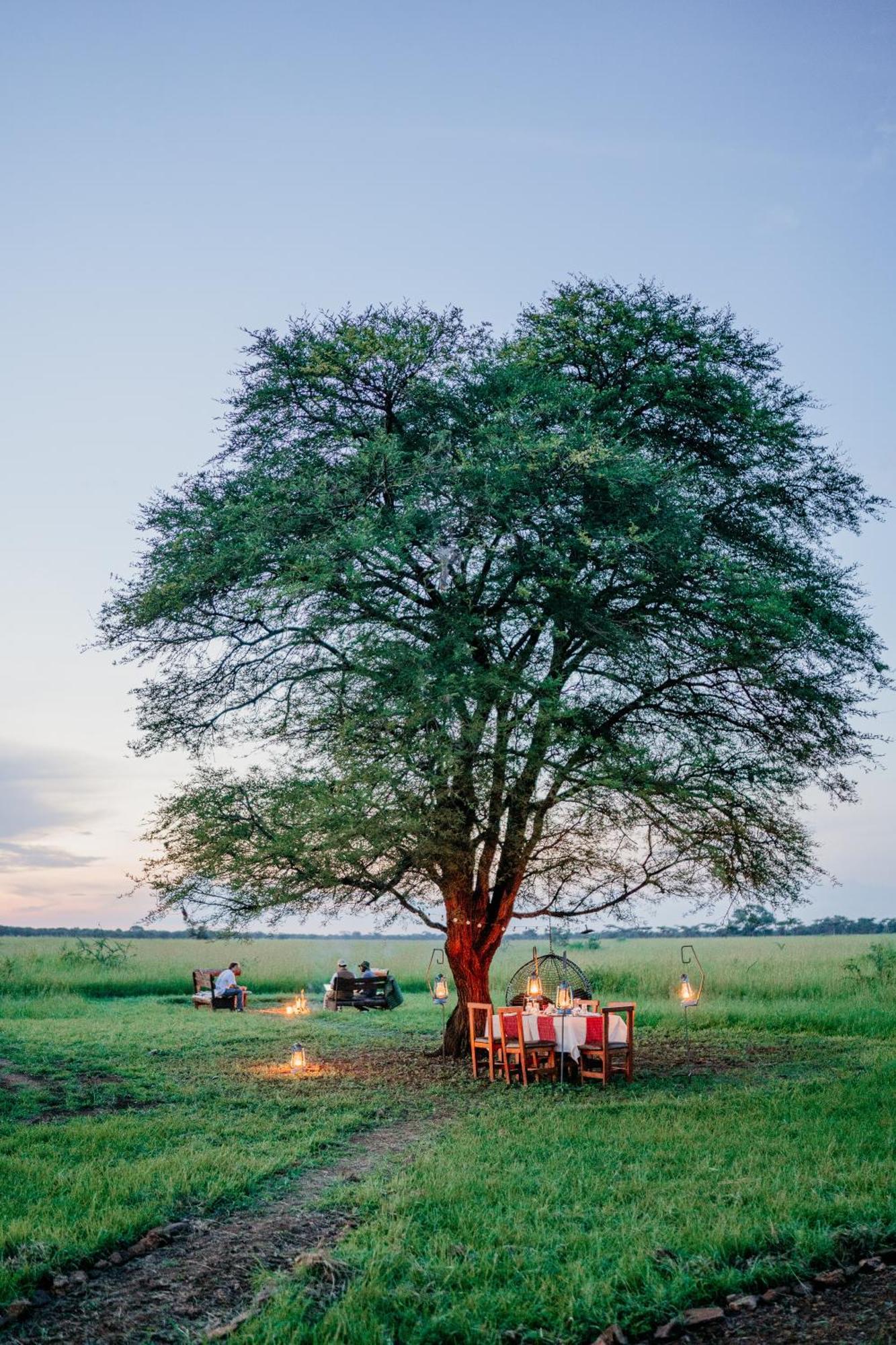 Zawadi Camp Hotel Serengeti Exterior foto