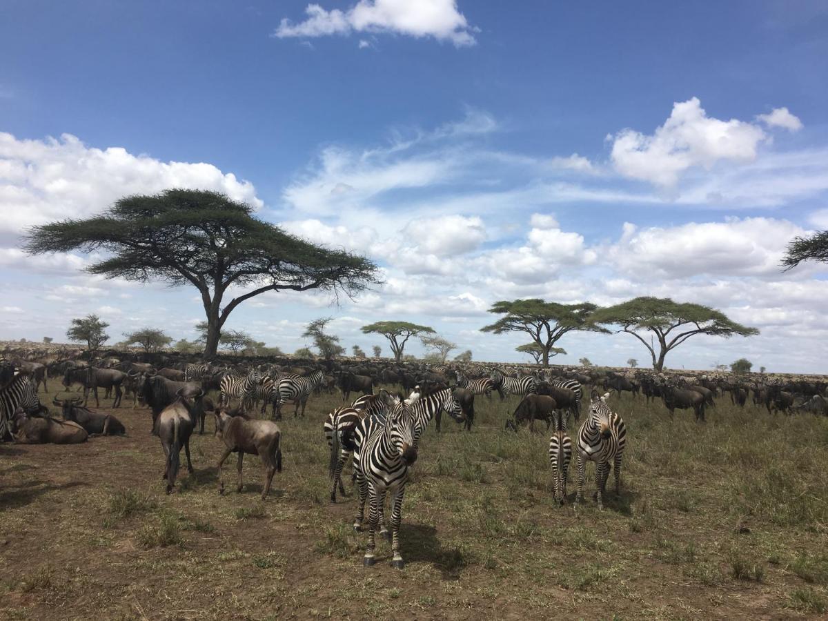 Zawadi Camp Hotel Serengeti Exterior foto