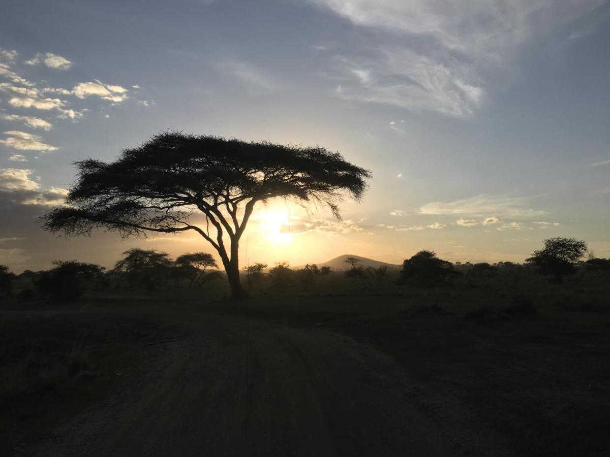 Zawadi Camp Hotel Serengeti Exterior foto