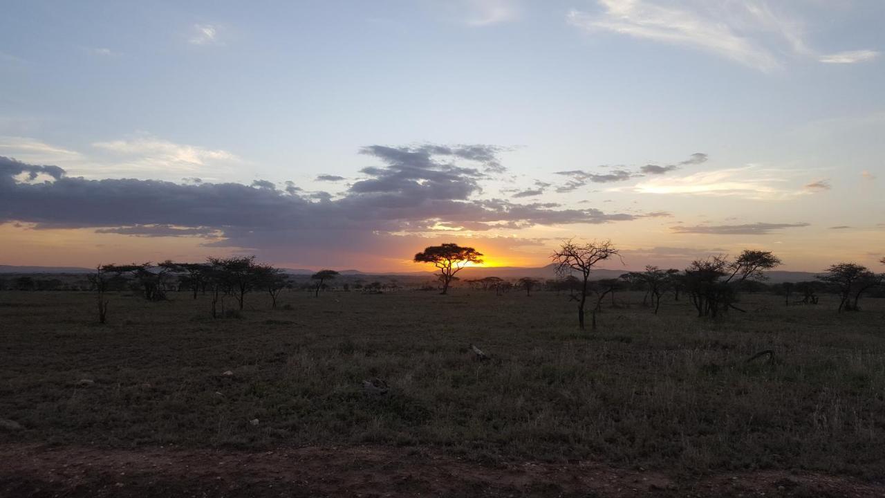 Zawadi Camp Hotel Serengeti Exterior foto